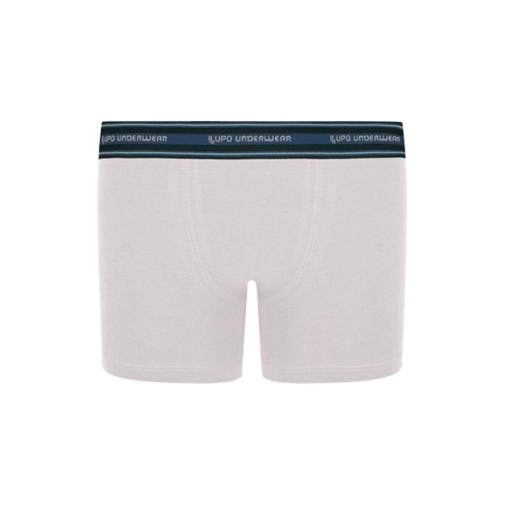 Cueca Infantil Boxer Lupinho 141-003