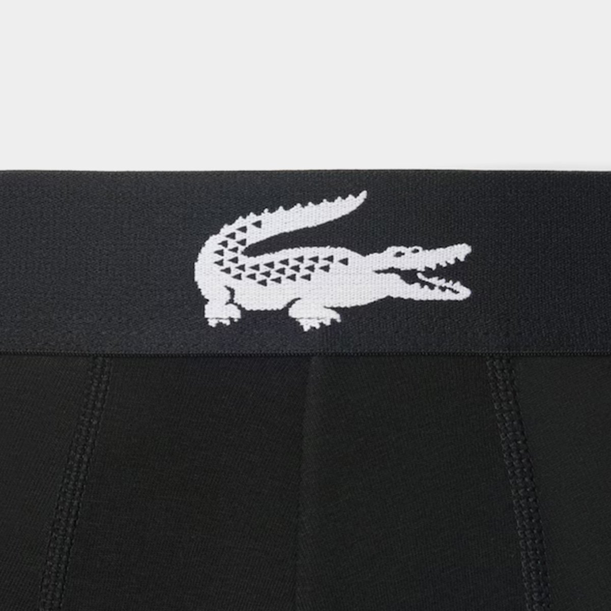 Cueca Lacoste - 3