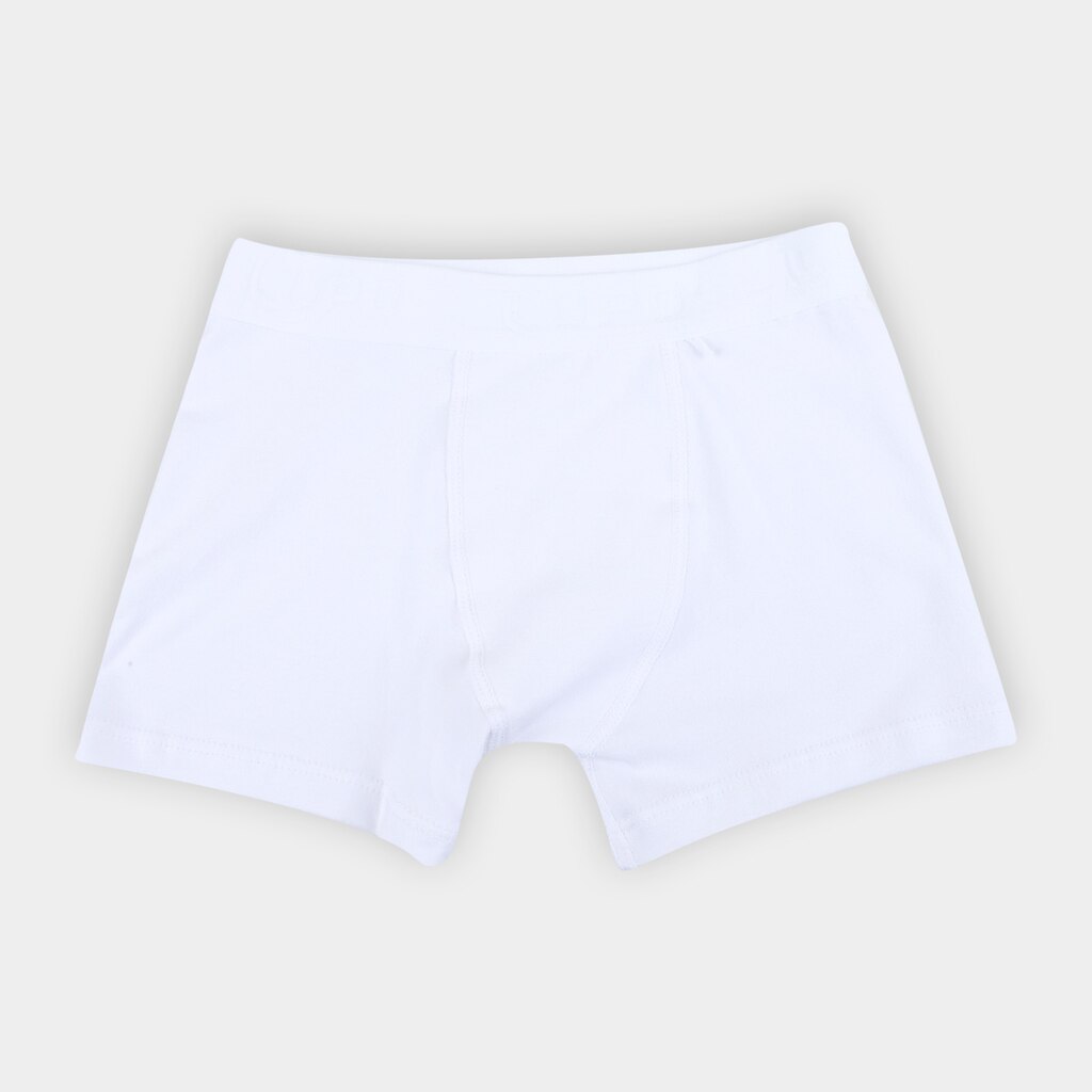 Cueca Lupo Boxer Infantil