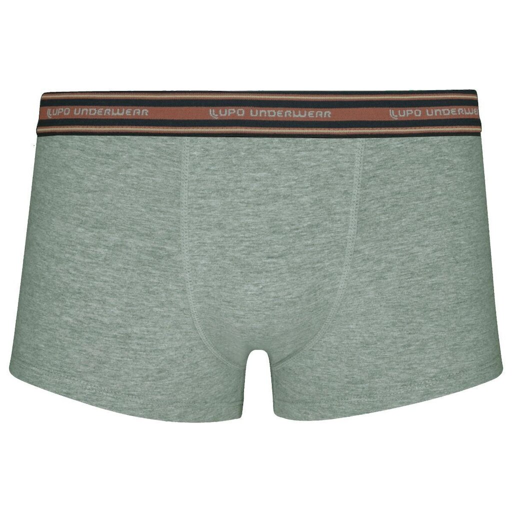 Cueca Sunga Adulto Algodão Com Elastano Underwear - Lupo