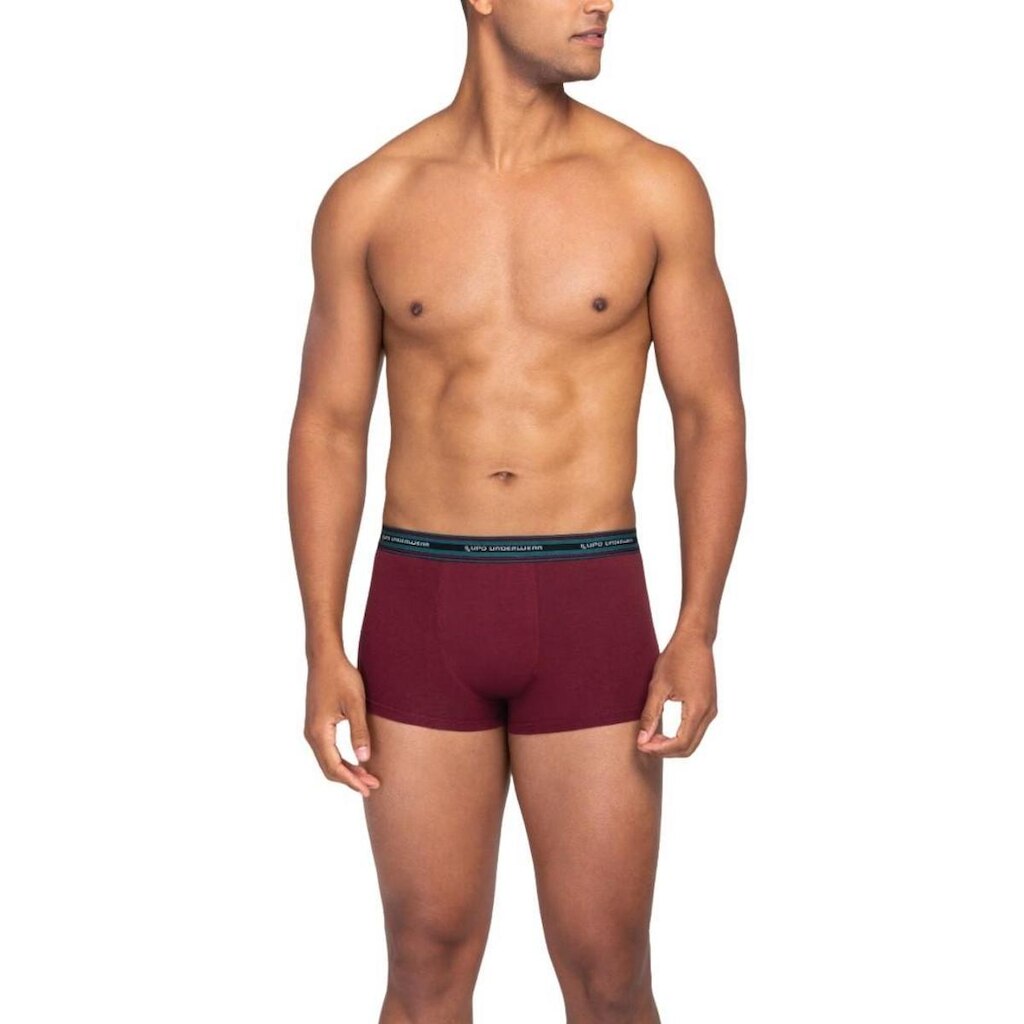 Cueca Sunga Adulto Algodão Com Elastano Underwear - Lupo