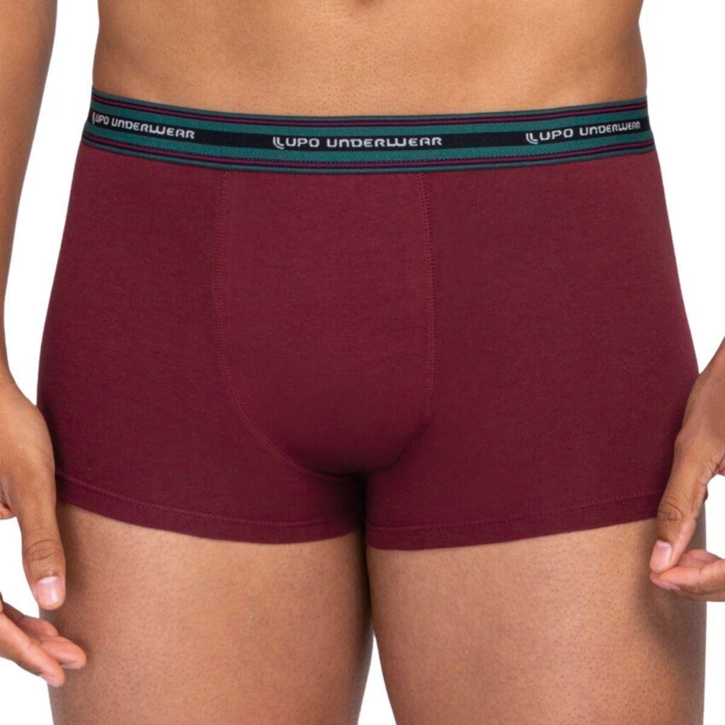 Cueca Sunga Lupo 460-003 Formato Anatômico Cós Elástico Algodão MW