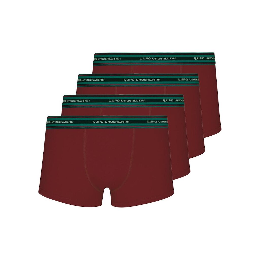 Cueca Sunga Lupo 460-003