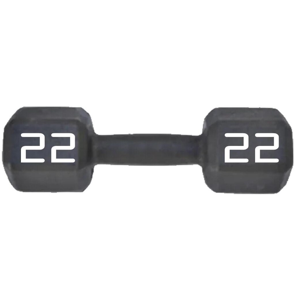 Dumbbell Sextavado Revestido Texturizado 22kg Rythmoon