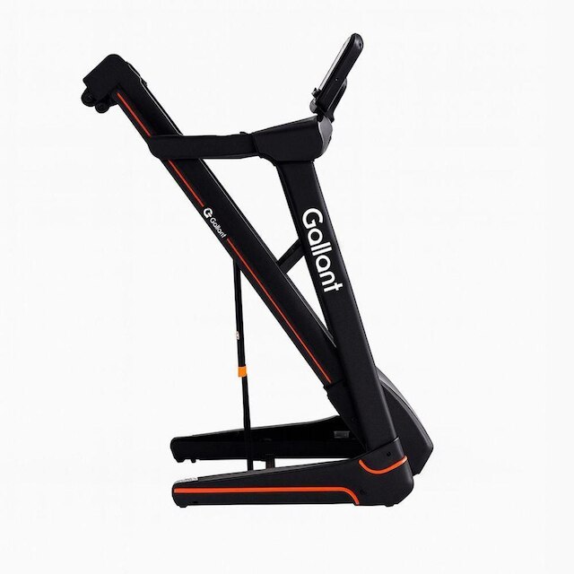 Esteira Ergométrica Elétrica Gallant Elite Pro 4.2hp 18Km/h 220V (GEE12E42A-220PT)