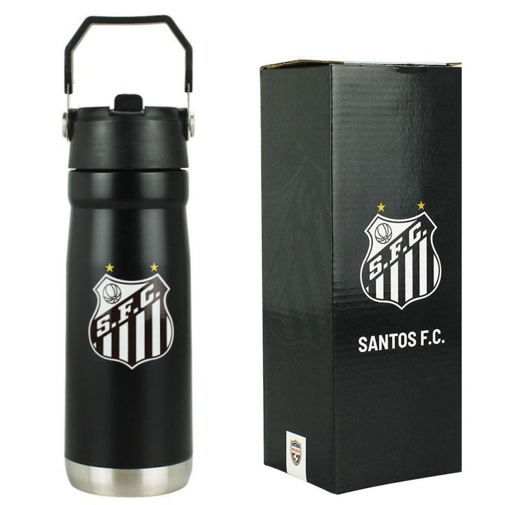 Garrafa Térmica Inox Alça Canudo Bico 650ml - Santos