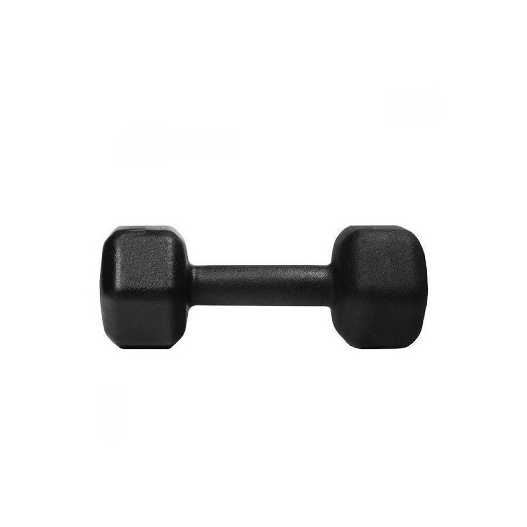 Halter 03kg Sextavado De Ferro Jfit