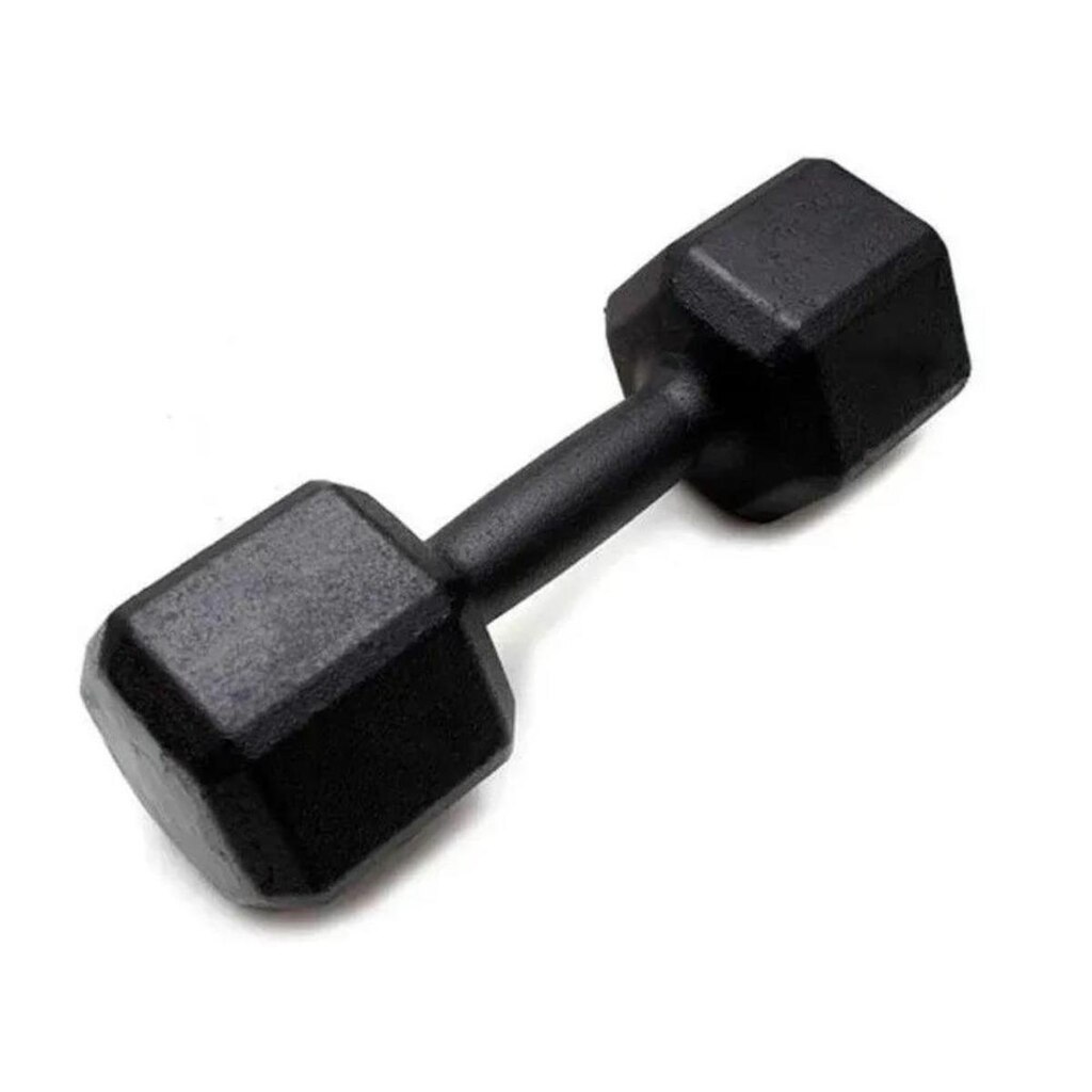 Halter Sextavado Pintado RAE Fitness - 17,5kg