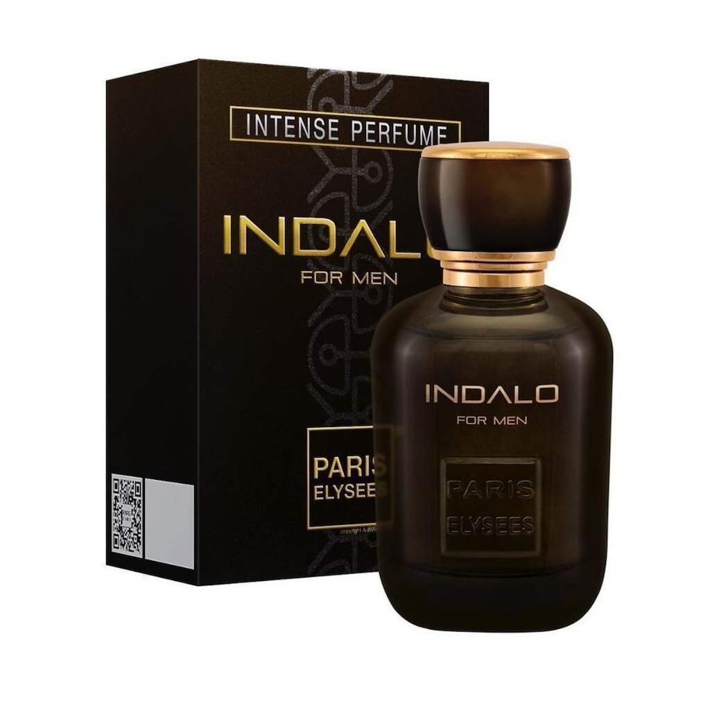 Indalo Paris Elysees Perfume Masculino EDT 100 ml