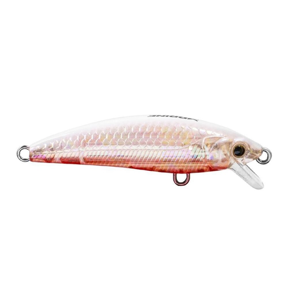 Isca Artificial Marine Sports Inna 60 peso 5,7g Floating