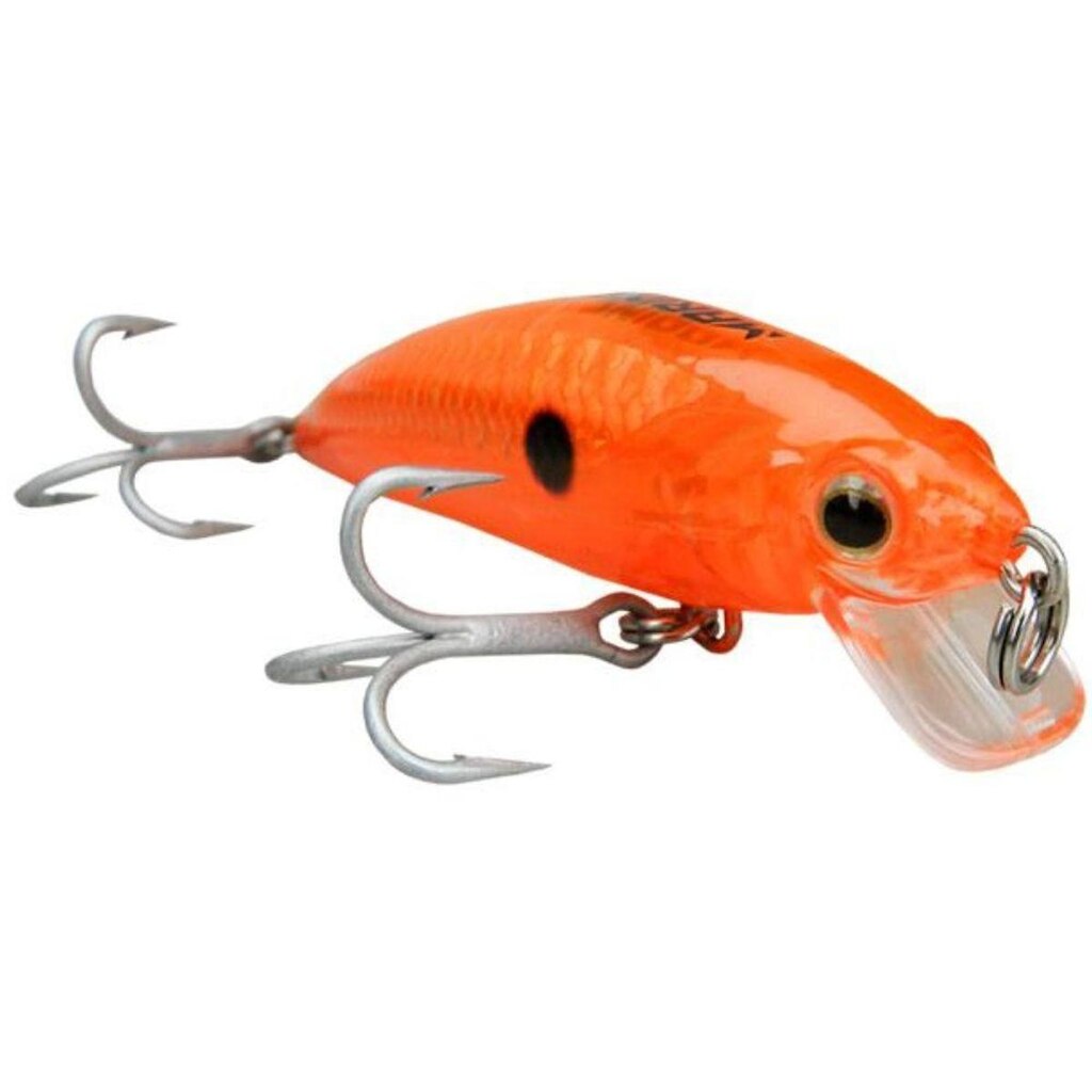 Isca Inna 60  Pro Tuned Marine Sports