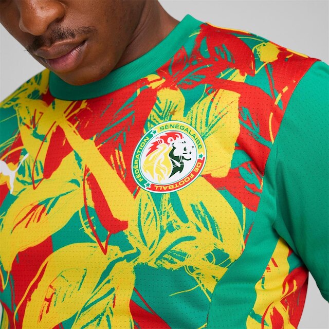 Jaqueta Seleção Senegal Pré-Jogo 25/26 Puma Masculina