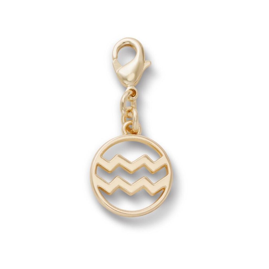 Jibbitz™ Pingente Signo Aquário Único