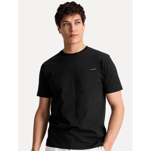 Kit 2 Camisetas Aramis Estampa Assinatura Masculinas