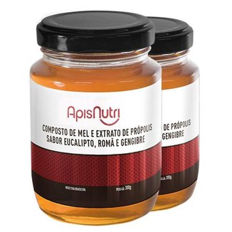 Kit 2 Composto de Mel Romã e Gengibre Apisnutri 300g