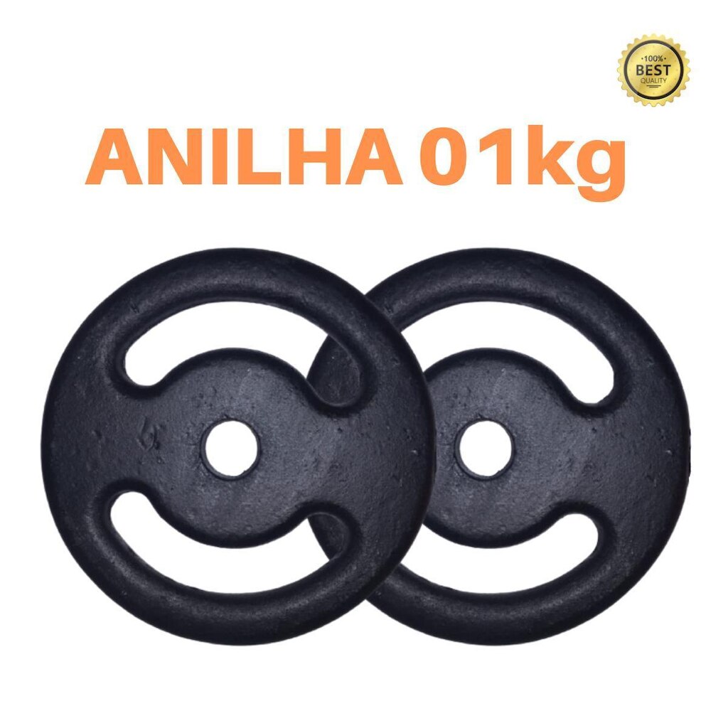 Kit 2 X Anilhas De 1kg Premium Ferro Pintada