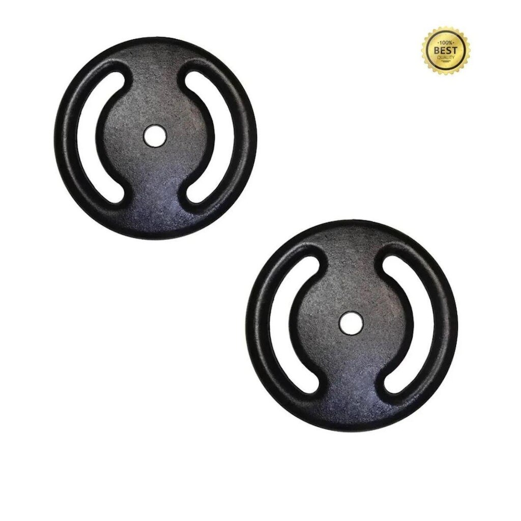 Kit 2 X Anilhas Super Premium De 2kg Ferro Pintada