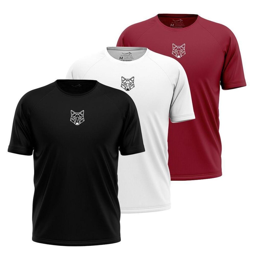 Kit 3 Camisetas Masculina Dry Alpha