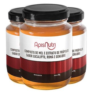 Kit 3 Composto de Mel Romã e Gengibre Apisnutri 300g