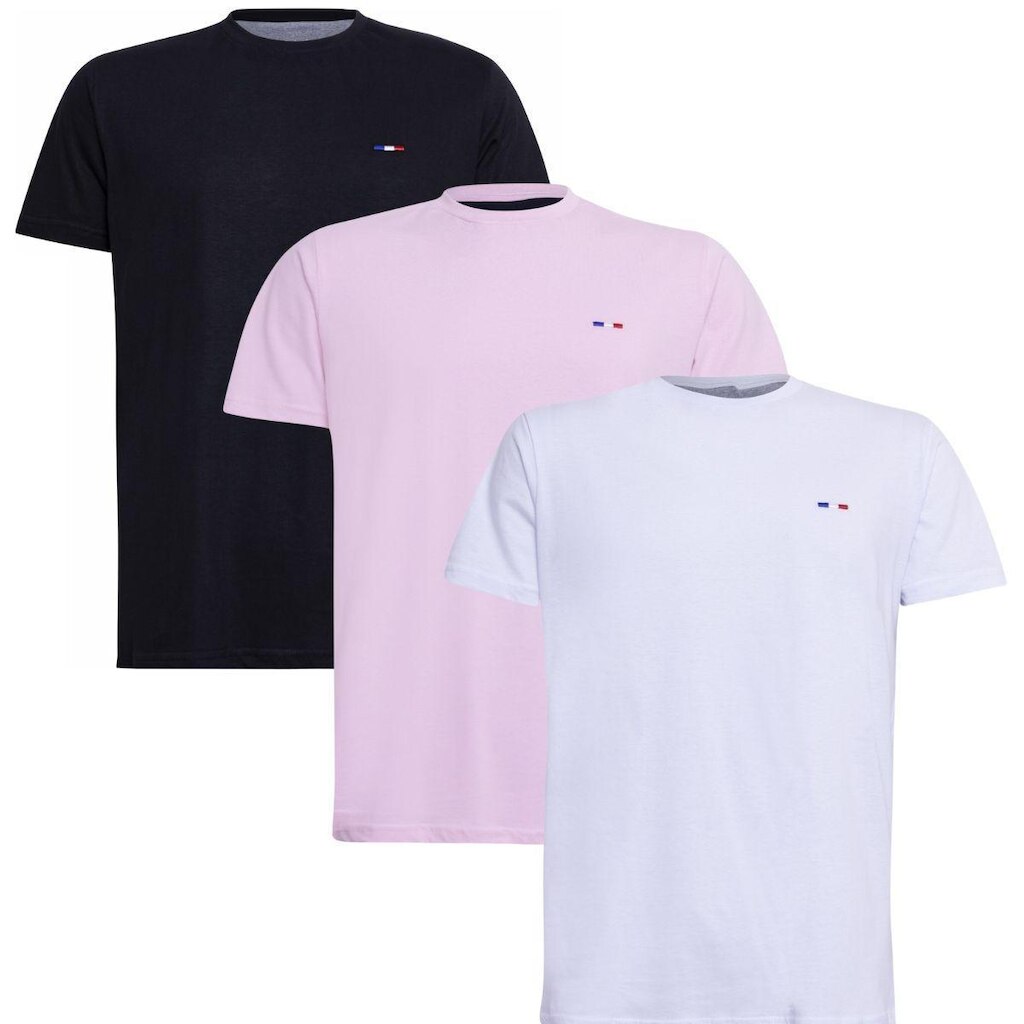 Kit 3 Peças Camisetas Básicas Masculina Industrie em Algodão Premium no  Clássico Bordado França