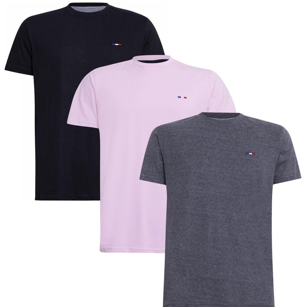Kit 3 Peças Camisetas Básicas Masculina Industrie em Algodão Premium no  Clássico Bordado França