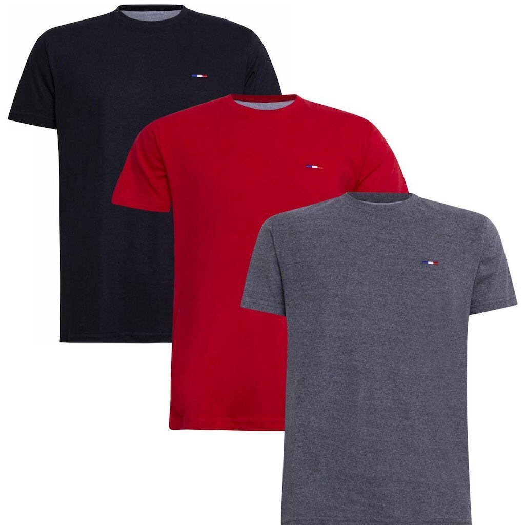 Kit 3 Peças Camisetas Básicas Masculina Industrie em Algodão Premium no  Clássico Bordado França