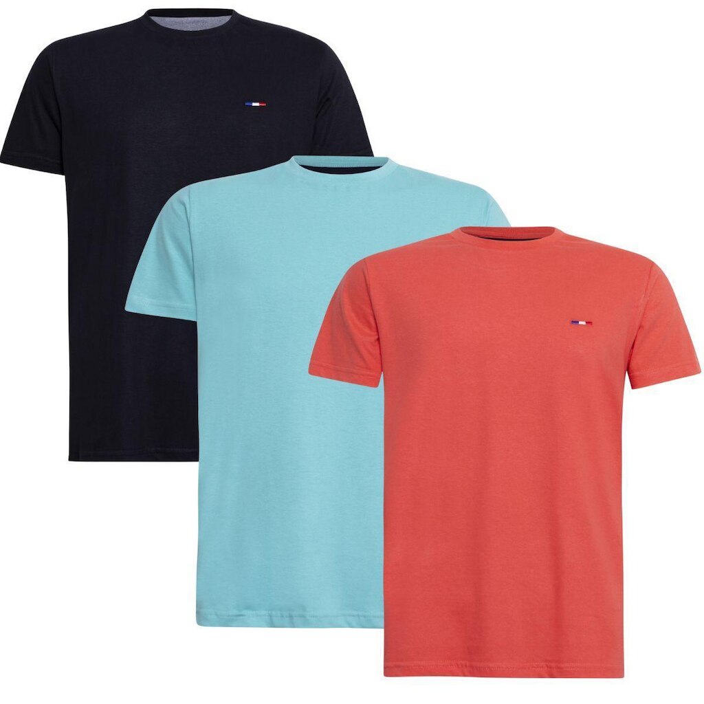 Kit 3 Peças Camisetas Básicas Masculina Industrie em Algodão Premium no  Clássico Bordado França