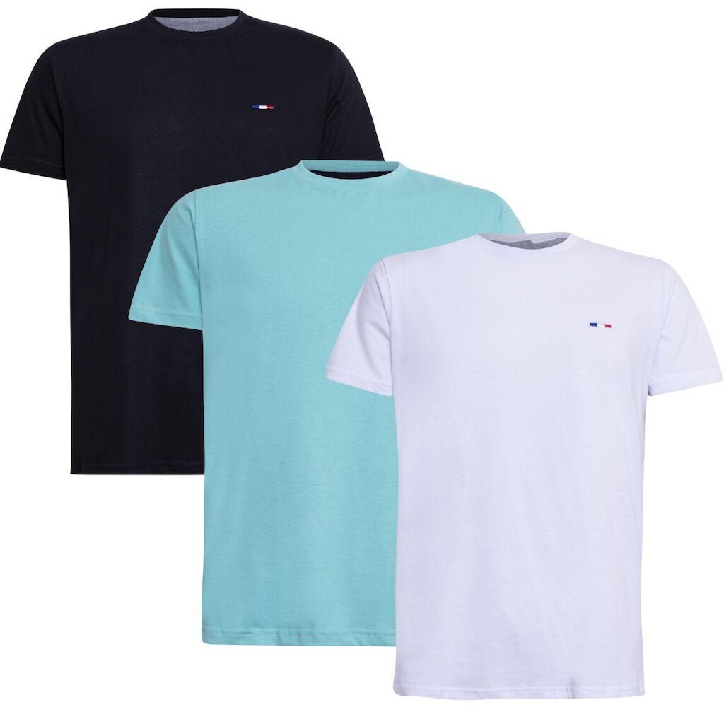 Kit 3 Peças Camisetas Básicas Masculina Industrie em Algodão Premium no  Clássico Bordado França