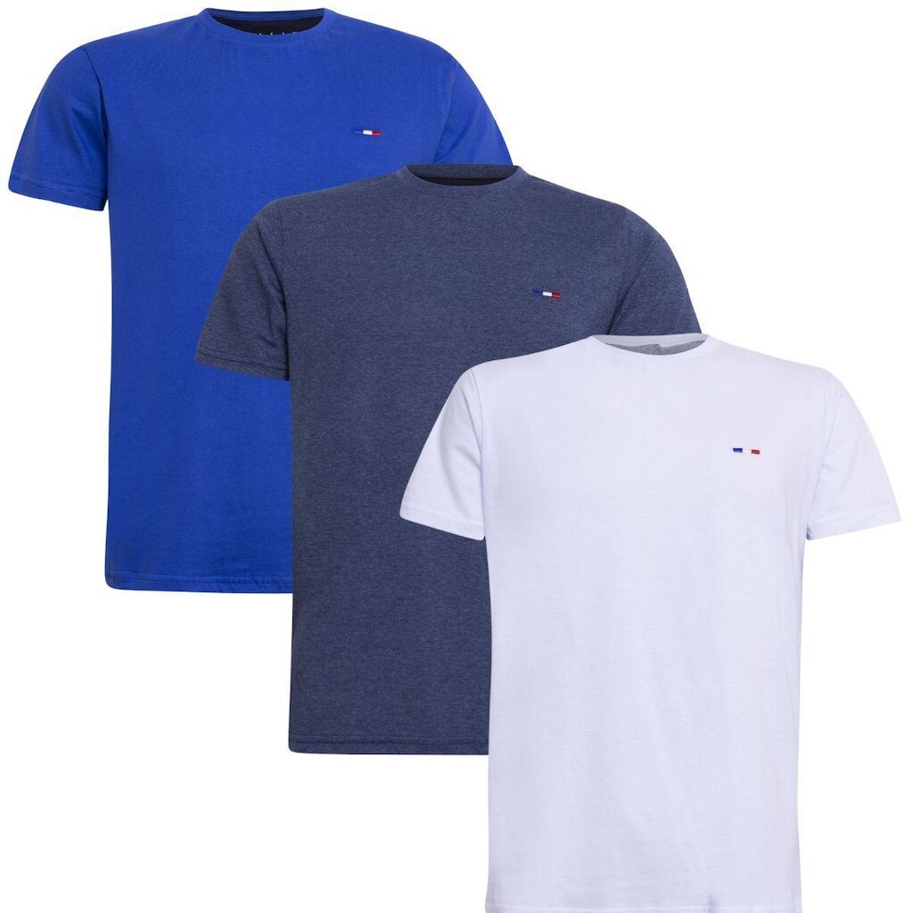 Kit 3 Peças Camisetas Básicas Masculina Industrie em Algodão Premium no  Clássico Bordado França