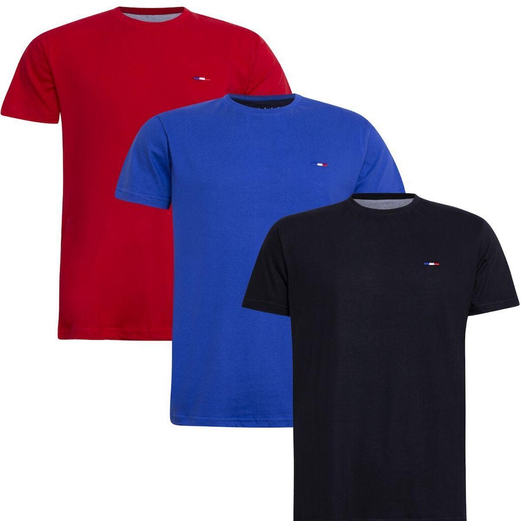 Kit 3 Peças Camisetas Básicas Masculina Industrie em Algodão Premium no  Clássico Bordado França