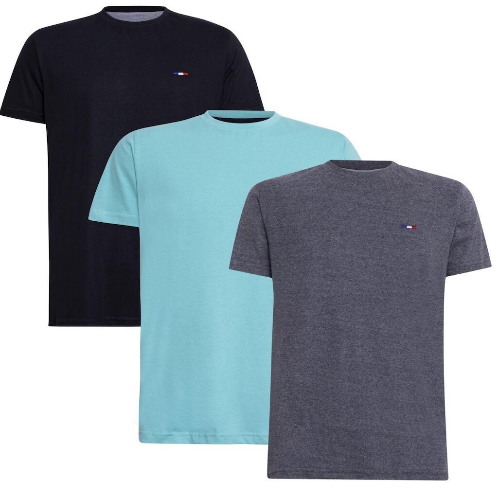 Kit 3 Peças Camisetas Básicas Masculina Industrie em Algodão Premium no Estilo Bordado França