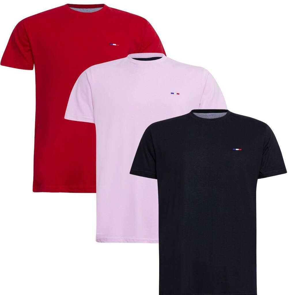 Kit 3 Peças Camisetas Básicas Masculina Industrie em Algodão Premium no Estilo  Bordado França