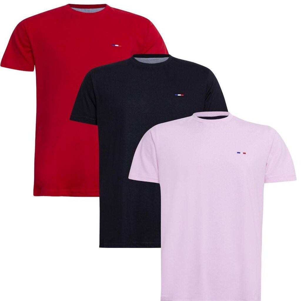 Kit 3 Peças Camisetas Básicas Masculina Industrie em Algodão Premium no Estilo  Bordado França