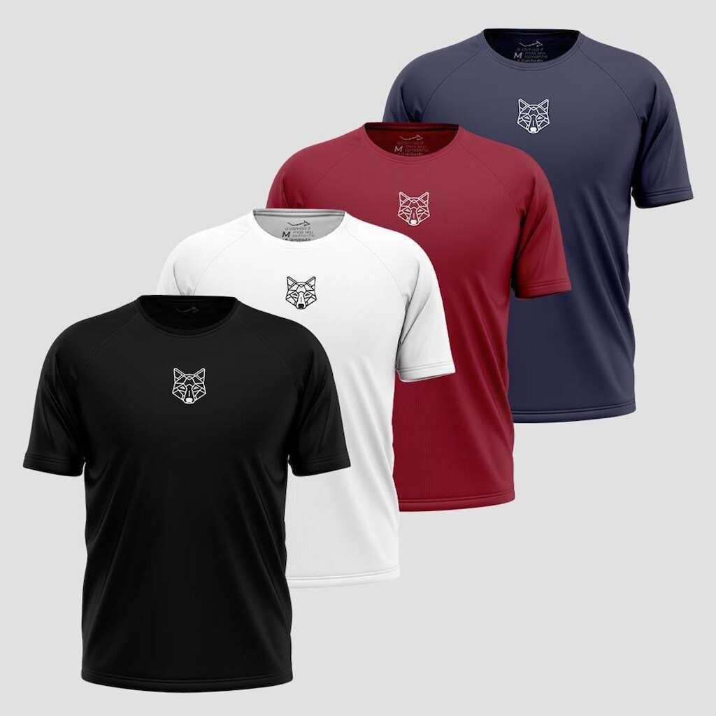Kit 4 Camisetas Masculina Dry Alpha