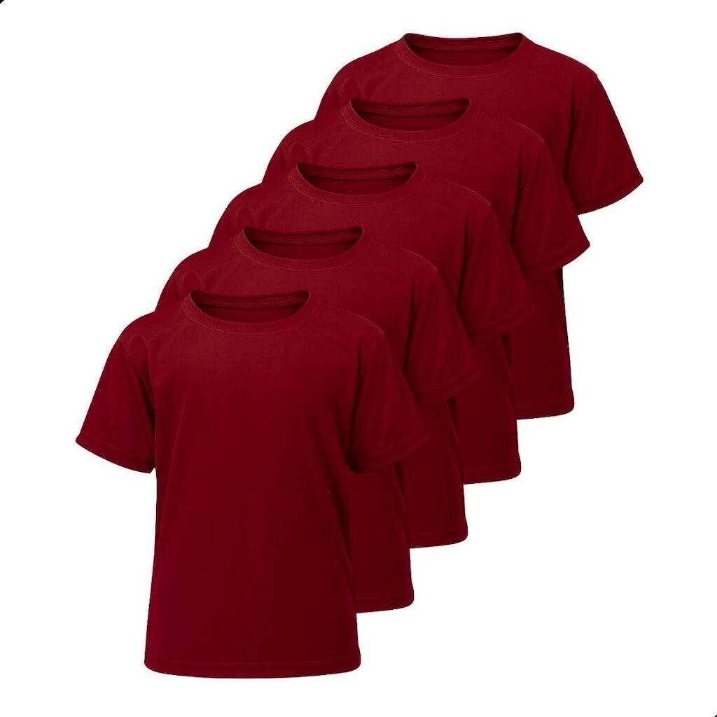 Kit 5 Camisetas Básicas Infantil Dry Lisa Tradicional Poliéster Confortável