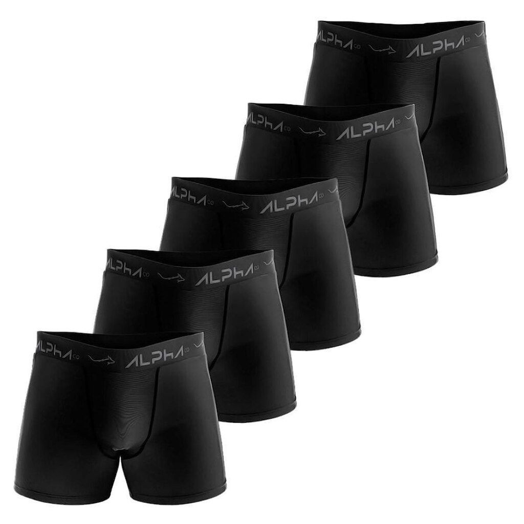Kit 5 Cuecas Cotton Masculinas Dry Academia - Alpha