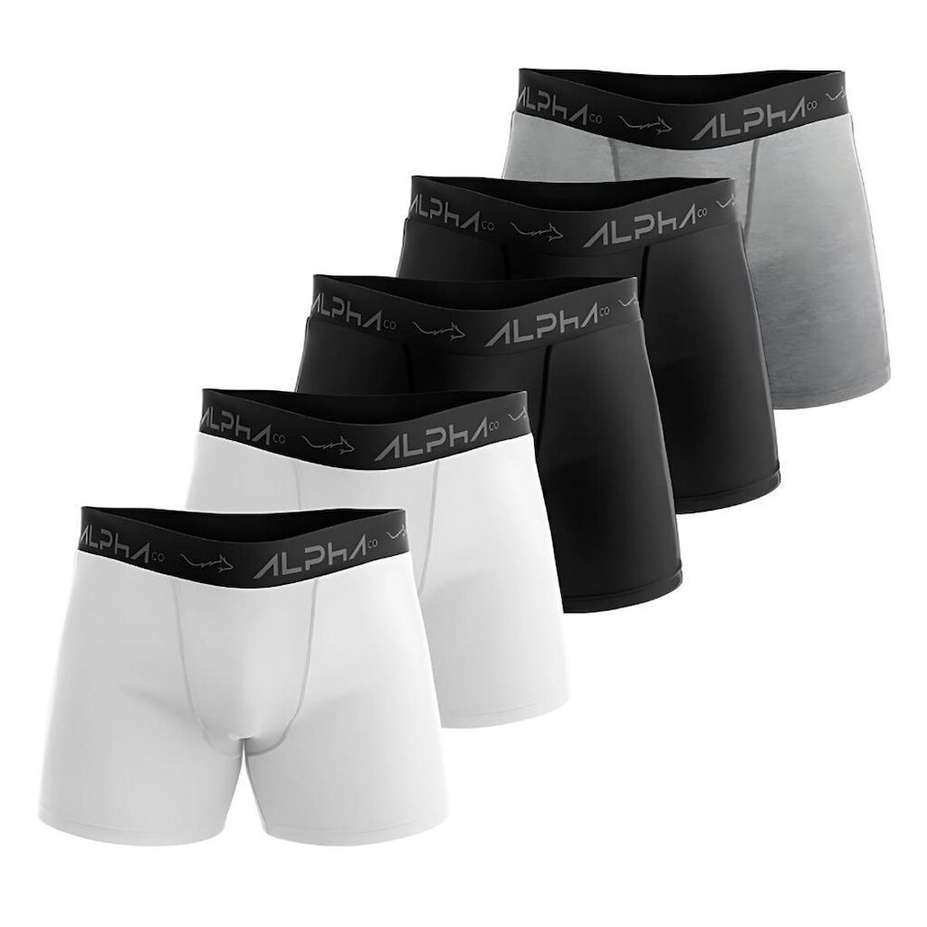 Kit 5 Cuecas Cotton Masculinas Dry Academia - Alpha