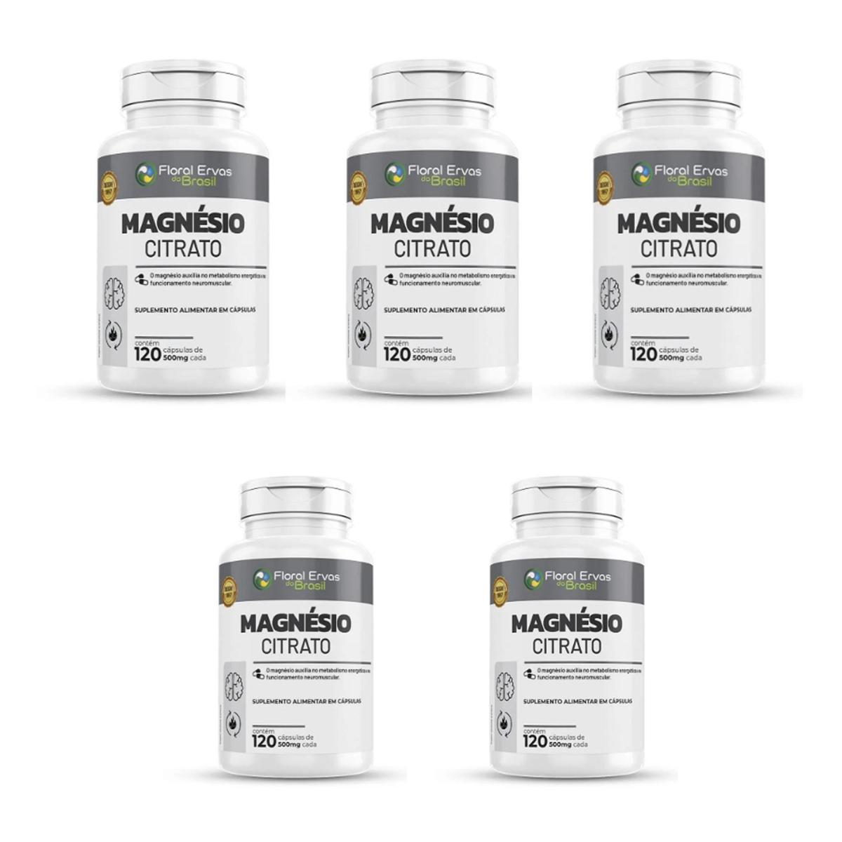 Kit 5 Magnésio Citrato 500mg 5x120 cps Floral Ervas