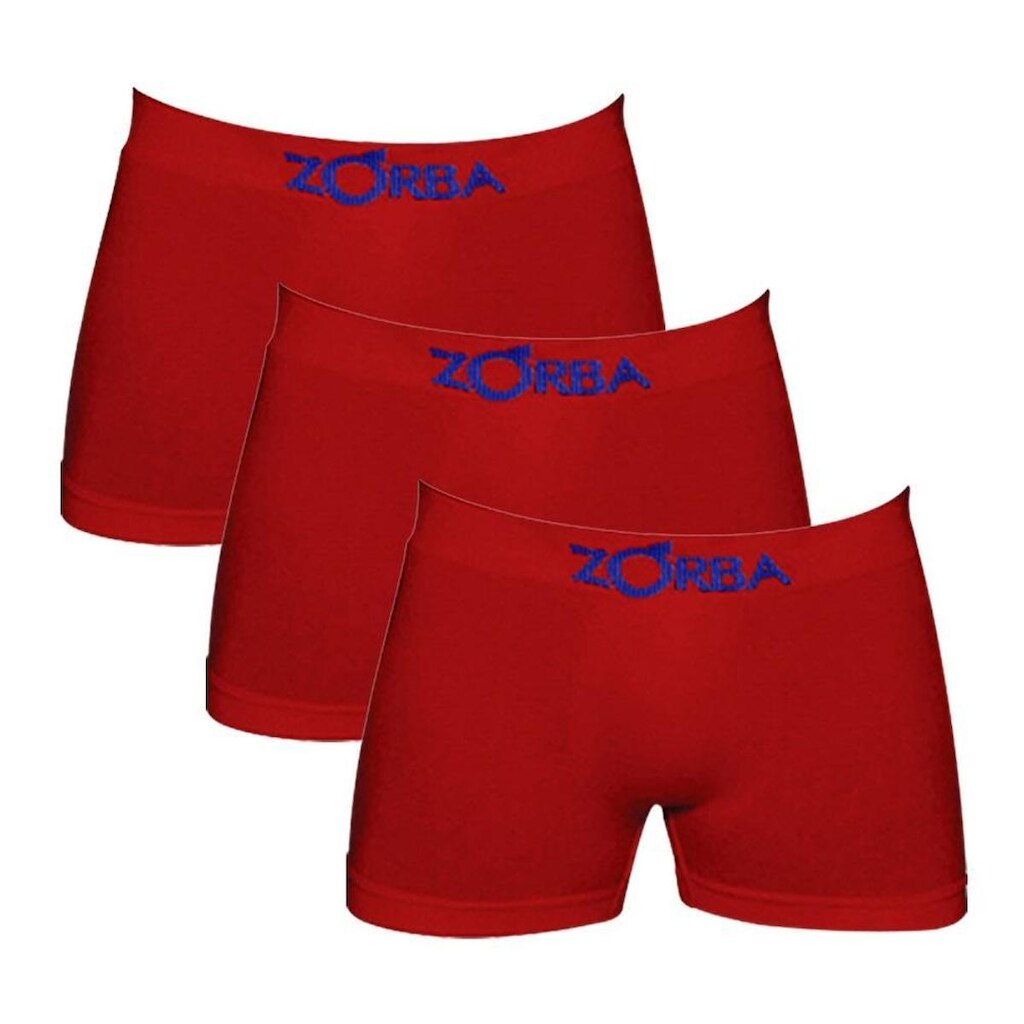 Kit C/3 Cuecas Boxer Infantil Algodão Zorba 678 -
