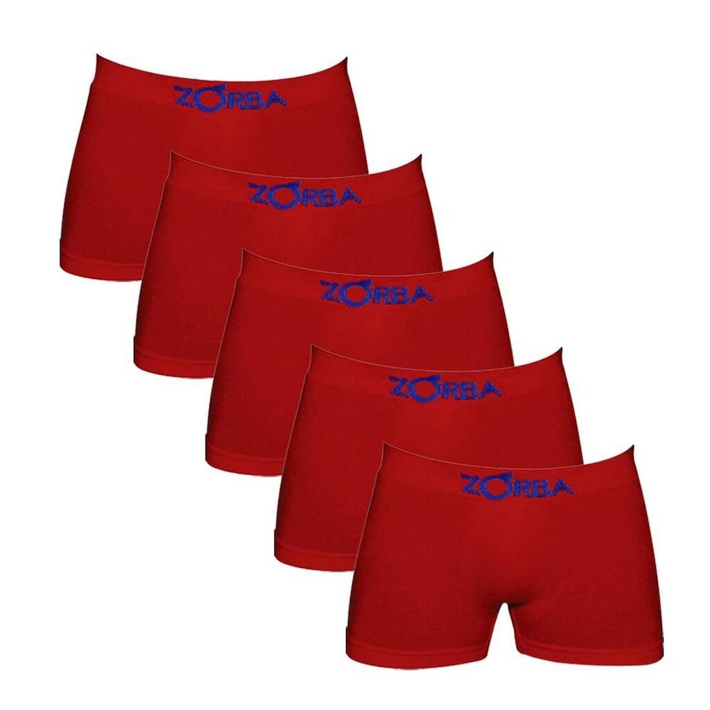 Kit C/5 Cuecas Boxer Infantil Algodão Zorba 678 -