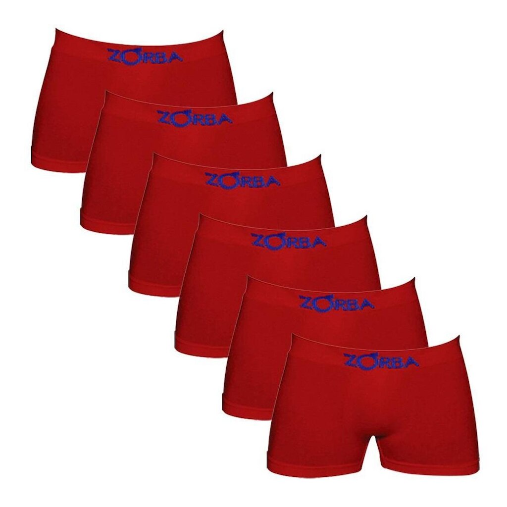 Kit C/6 Cuecas Boxer Infantil Algodão Zorba 678 -
