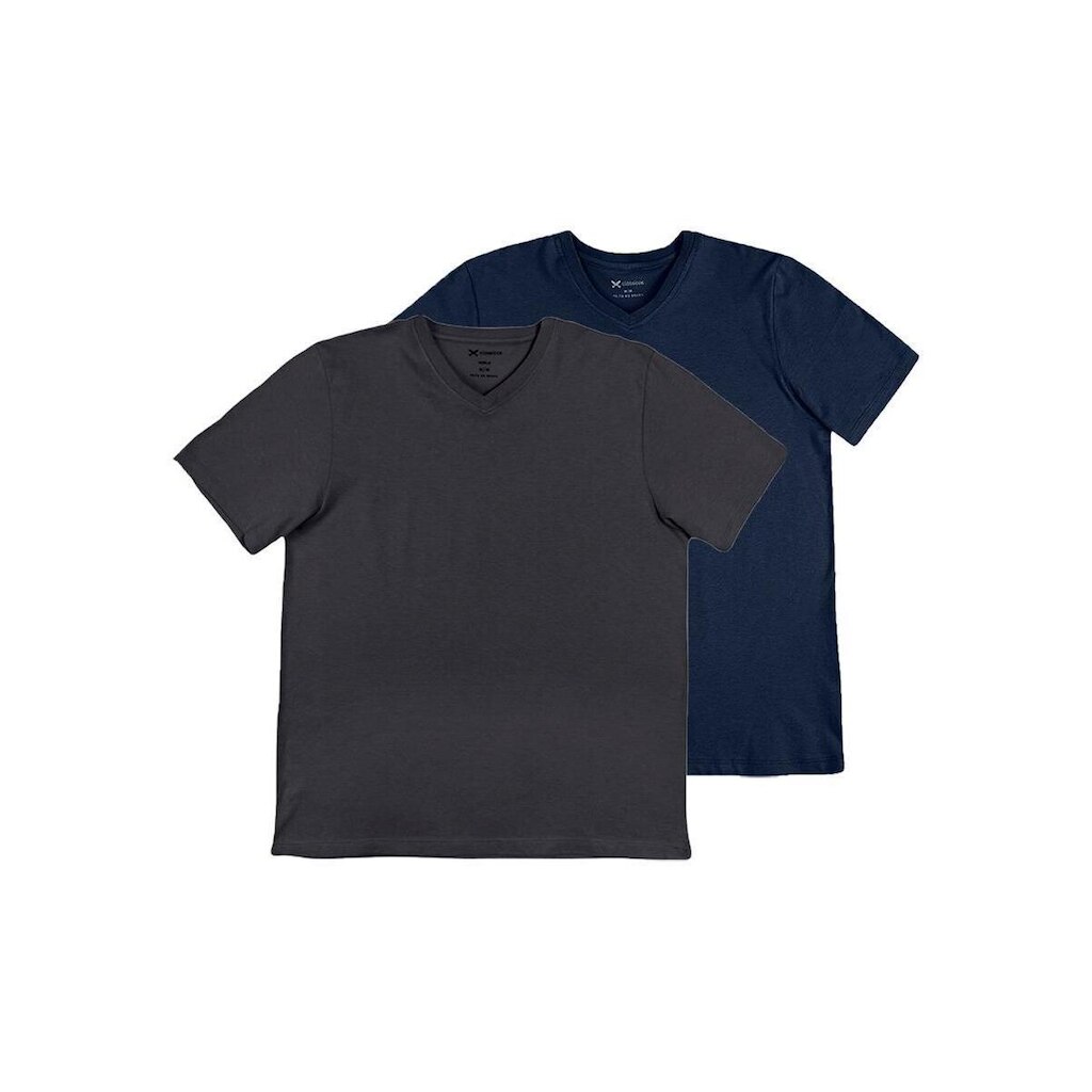 Kit com 2 Camisetas Masculina Hering 022b Cinza