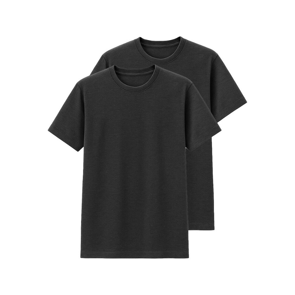 Kit com 2 Camisetas Masculina Hering 227
