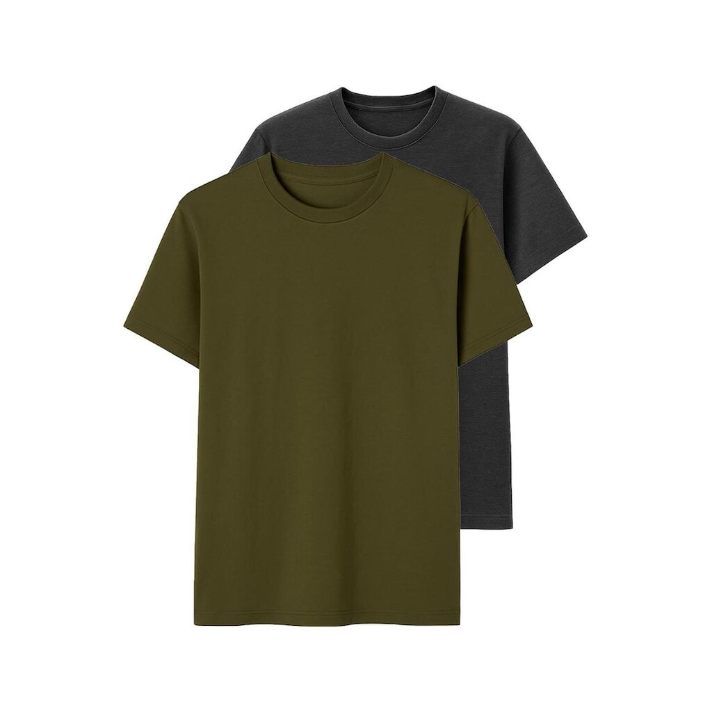Kit com 2 Camisetas Masculina Hering 227