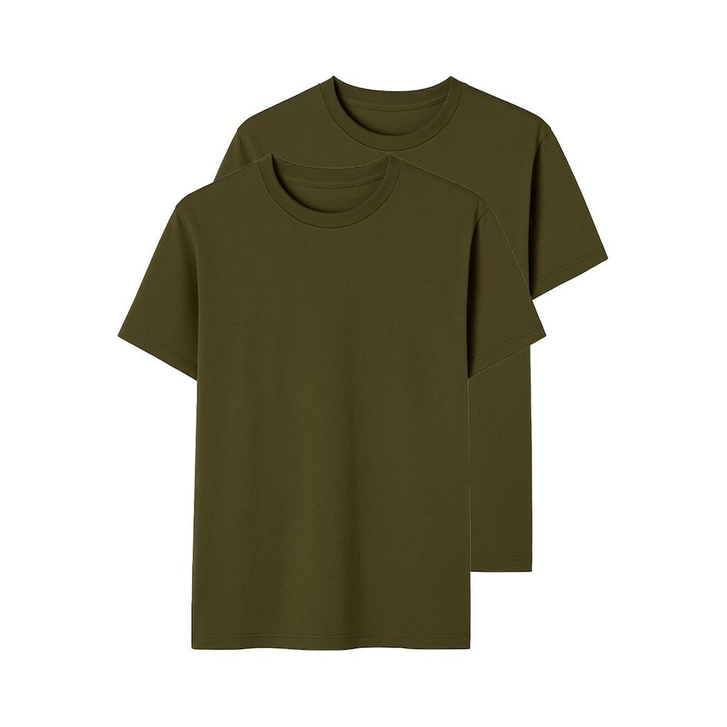 Kit com 2 Camisetas Masculina Hering 227