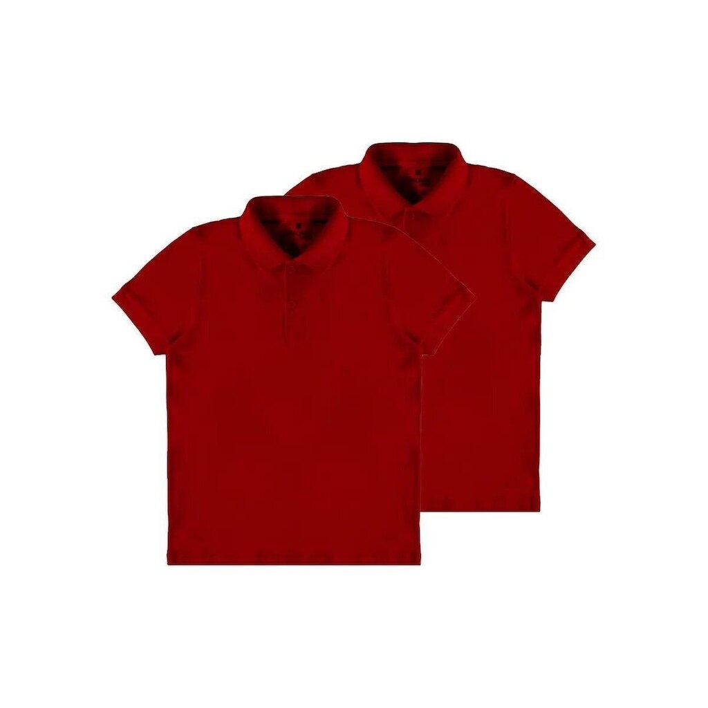 Kit com 2 Camisetas Polo Infantil Menino Malwee 1000111119