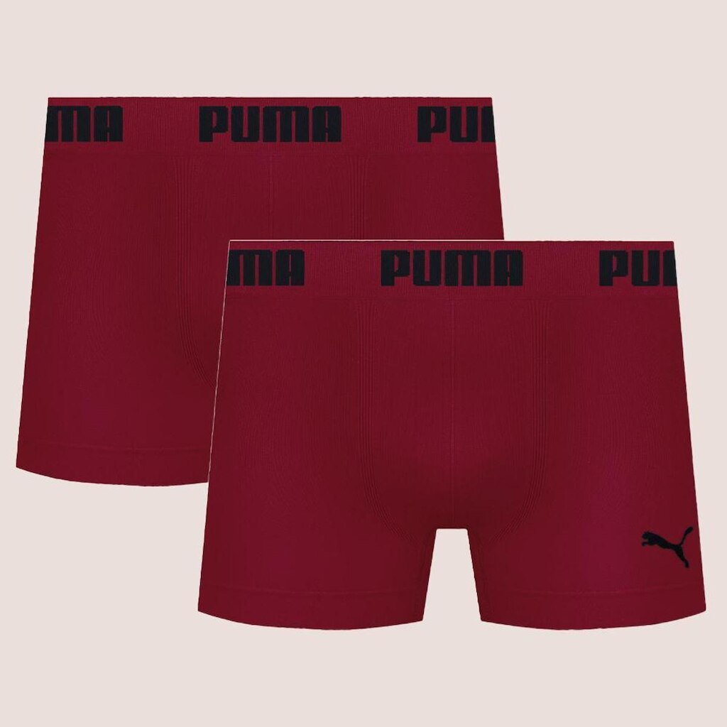 Kit Com 2 Cuecas Boxer Box Sem Costura Masculina Adulta Microfibra Puma