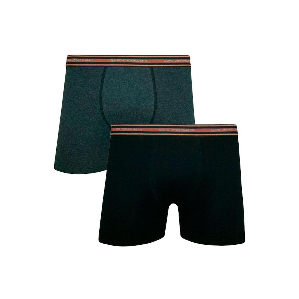 Kit com 2 Cuecas Boxer Lupo 523-088