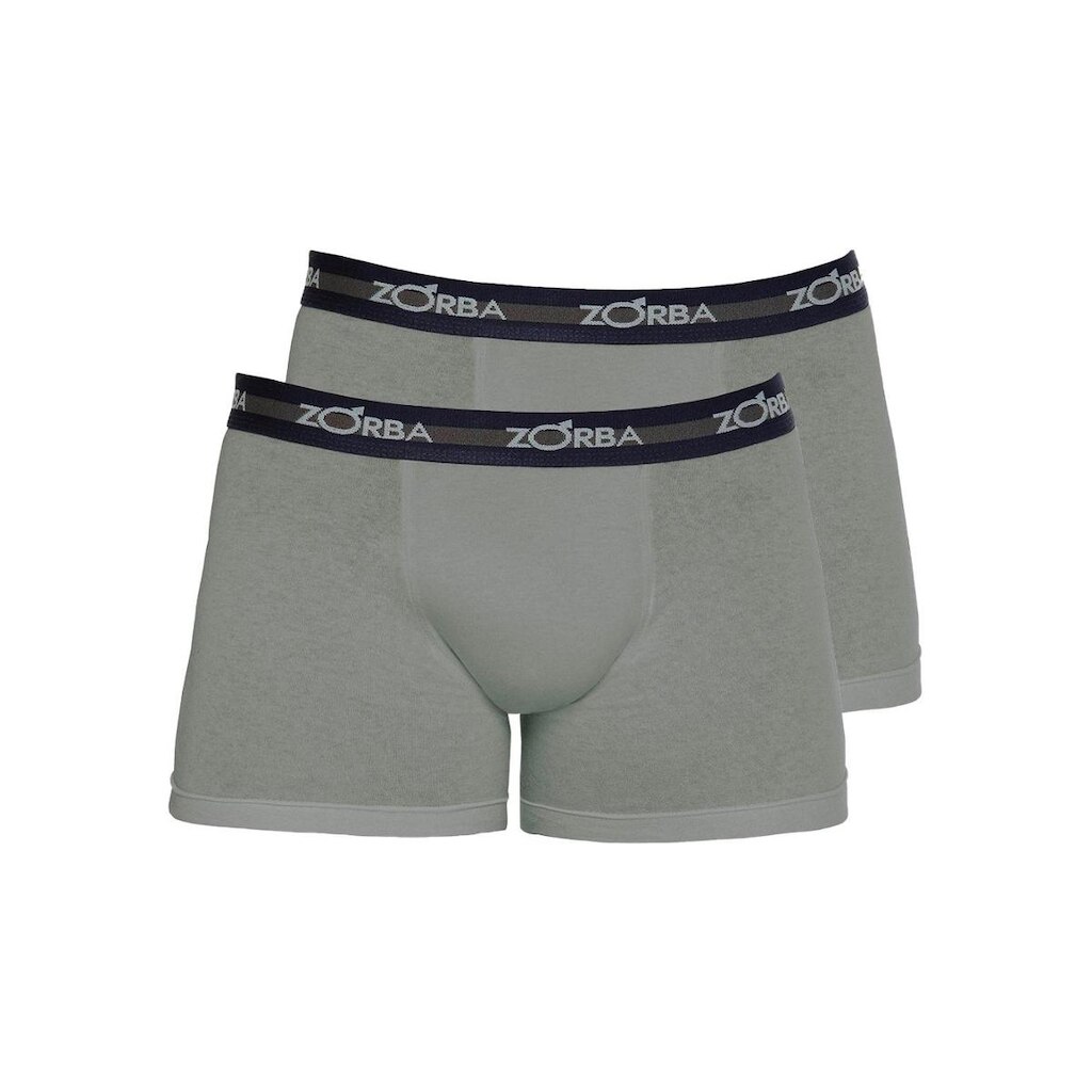 Kit com 2 Cuecas Boxer Zorba 702 Azul Marinho