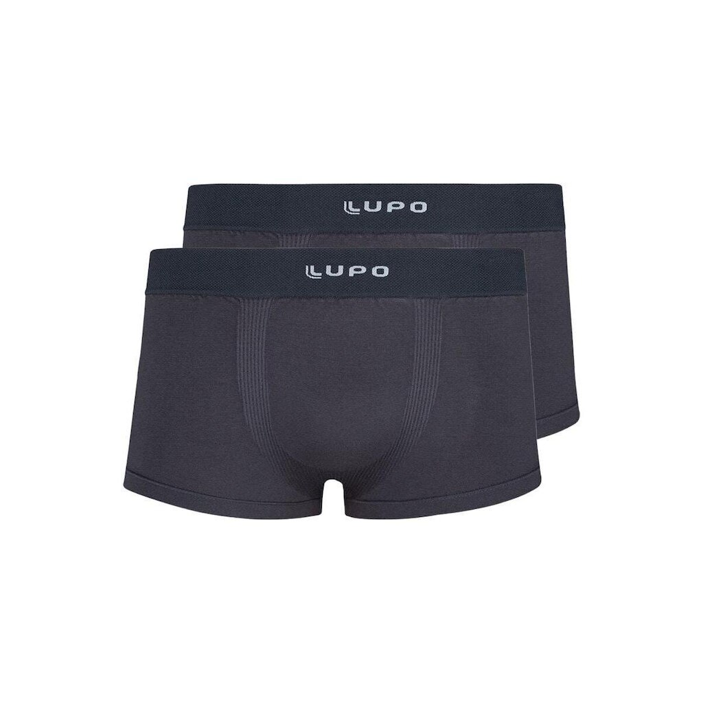 Kit com 2 Cuecas Sunga Lupo 656-001 Cinza